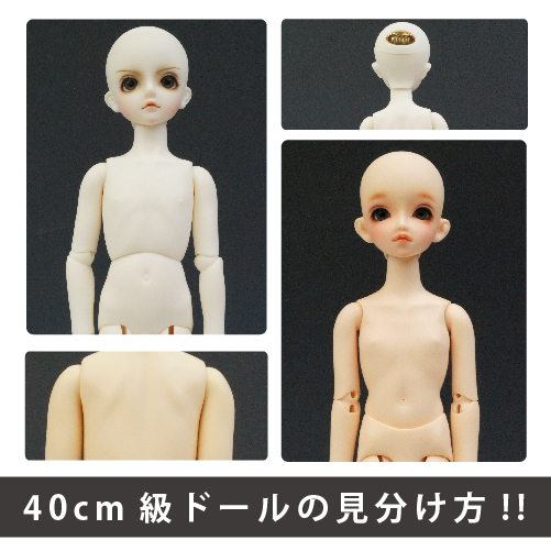 MSD ドール 40cm-